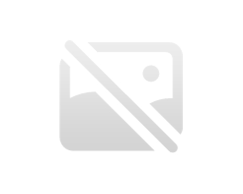 Automotive Spring Steel Wire Market Development Trends